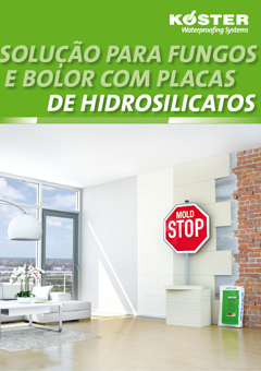 Anti-Mold-System